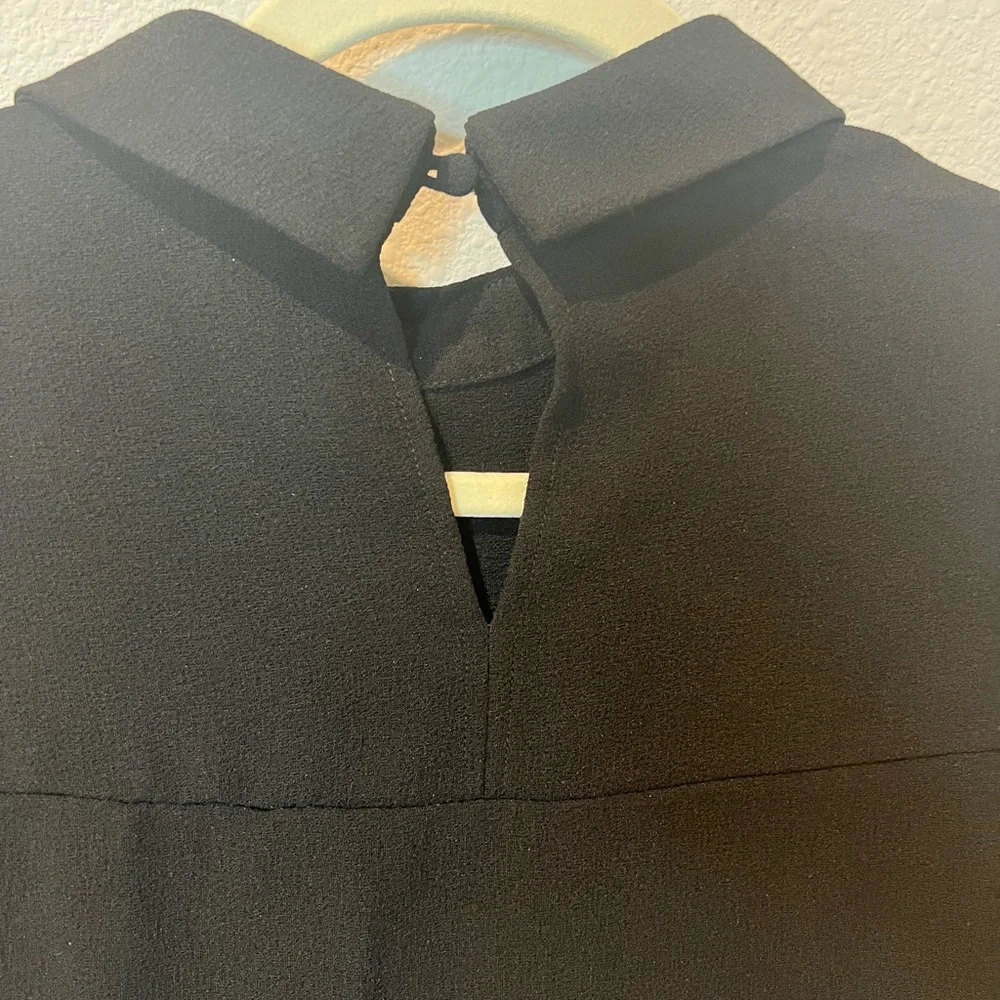 Forever21 Black Dress - Picture 5 of 5